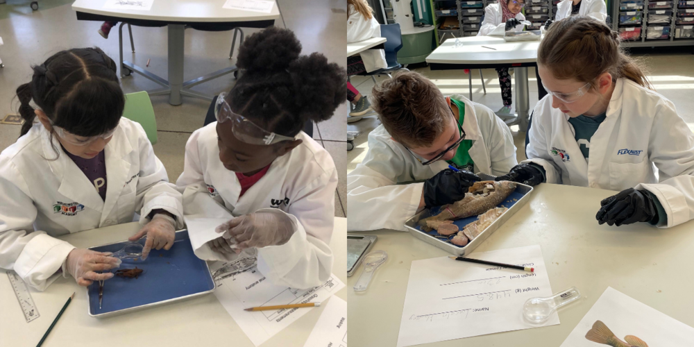 Washington STEM Academy Inspires a Future Generation of Scientists