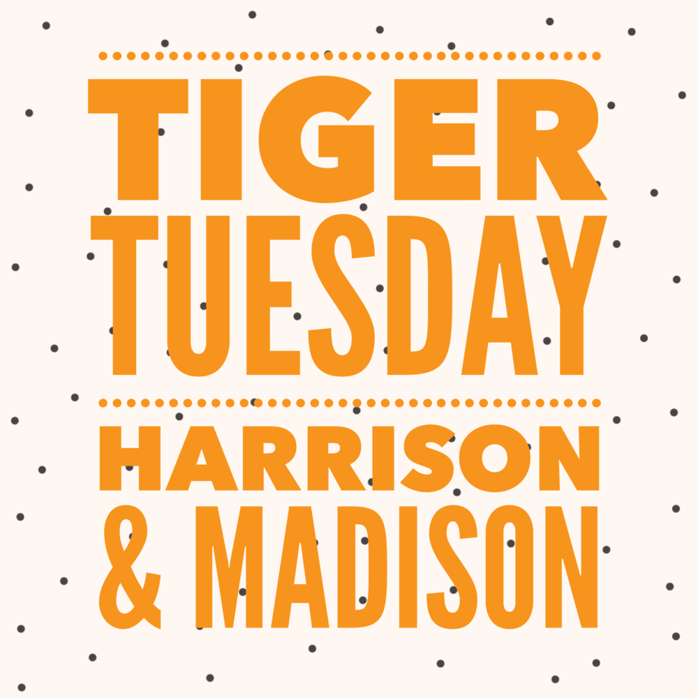Tiger Tuesday Harrison & Madison