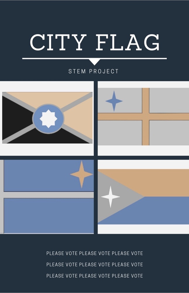 city flag project 