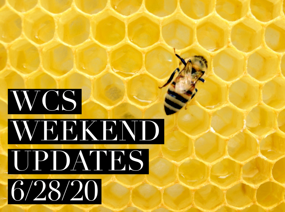 WCS Weekend Updates 6/28/20 (Bee)