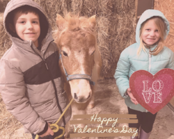 Happy Valentine's Day