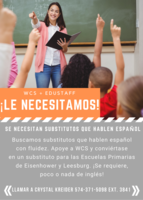 SE NECESITAN SUBSTITUTOS QUE HABLEN ESPAÑOL