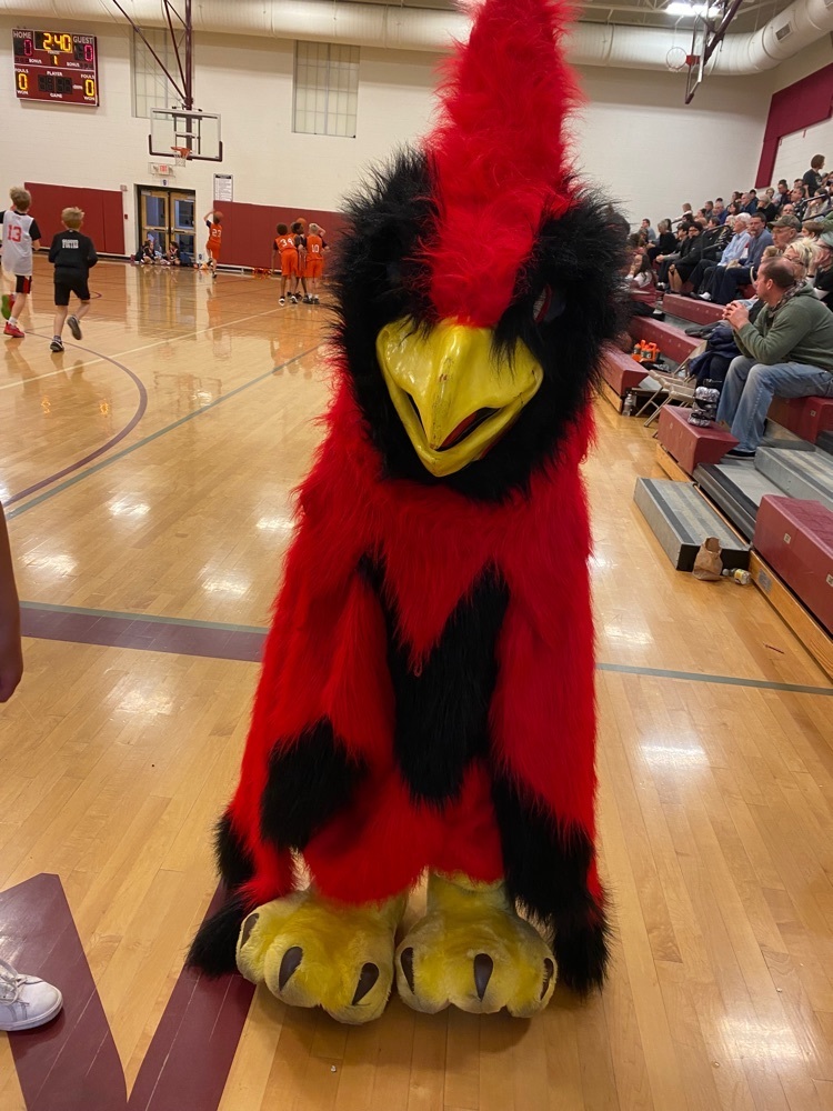 Madison cardinal mascot 