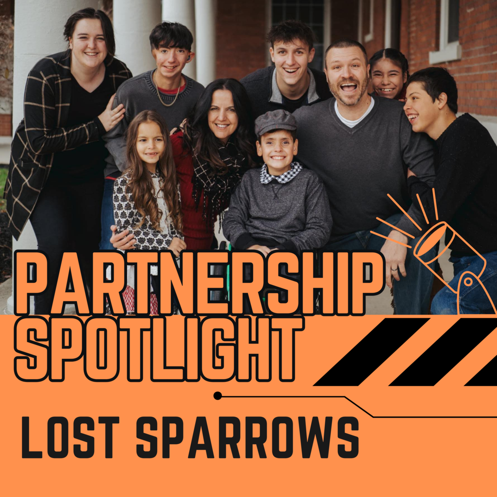 Lost Sparrows Spotlight