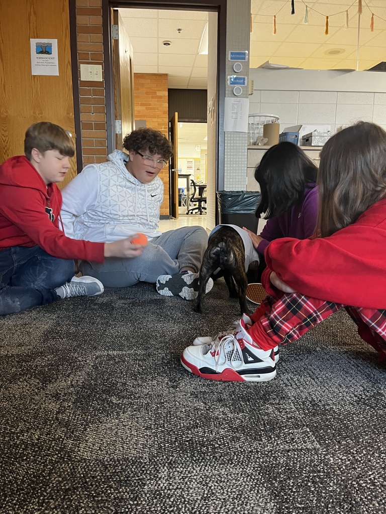Students play with dog